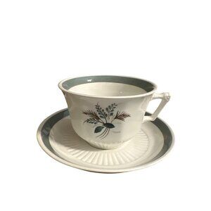 W. Adams & Sons Real English Ironstone Cup & Saucer Set Micratex Floral Design G
